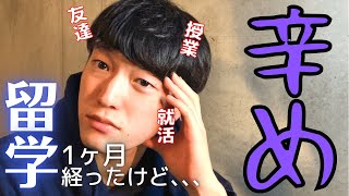 【留学】留学生のリアルな気持ち。留学って楽しいだけじゃなくて大変なことも多め【ヨーロッパ大学院】