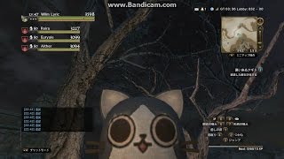 DDON　ドレイク　ファイターポーンだけに戦わせてみた　2分半くらい