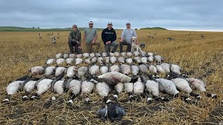 Early Nodak Honker BEATDOWN (4 man limit)