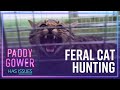 Why feral cats aren't included in Predator Free 2050 | Paddy Gower Has Issues