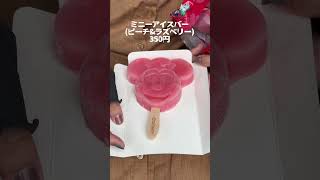 ディズニーのワゴンで食べられるアイスまとめ！