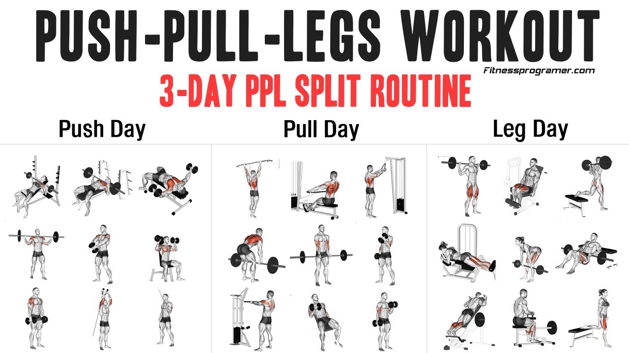 3 Day Push Pull Legs Workout Routine Eoua Blog