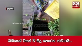 නීතියෙන් වසන් වී සිදු කෙරෙන ජාවාරම...