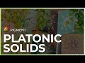 How to Assemble Platonic Solids with Pigment