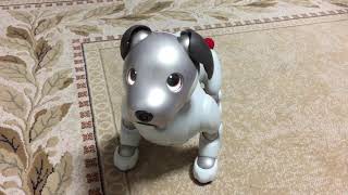 【aibo】猫に変身？！猫になってと言うとaiboが猫に変身？！ネコの日限定2/22~28まで【Cat imitation】