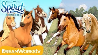 All About Horses | SPIRIT COMES TO LIFE