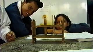 Escuela Pedagógica Experimental: La organización una mirada.. (2000)