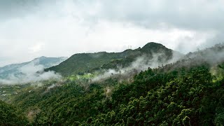 Western Ghats (सह्याद्री या भारत के पश्चिमी घाट क्षेत्र।)—4k***Hindi