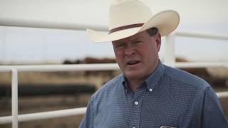 Barber Ranch Herefords | The American Rancher 10-28-19