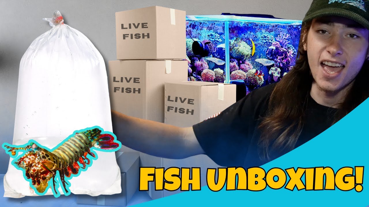 Saltwater Fish Unboxing Insane Youtube