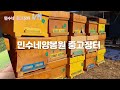 판매완료 우진 자동8매 중고채밀기 소개합니다 ~ 종봉분양 하우스벌 중고채밀기 중고벌통 접수 받습니다 ~