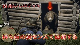 【RDR2】 初見〇し要素を持ち前の謎センスで回避する 『クマに入られた家』と『ワトソンの山小屋』 【レッドデッドリデンプション2】