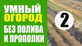 Умный Огород - 2 ч. Не Нужно Поливать И Пропалывать. Урожайный Огород