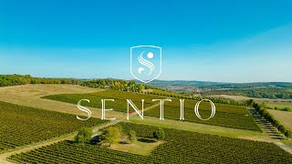 SENTIO ESTATE - Luxury Villa at Lake Balaton, Hungary