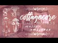 🌱🍄✨ cottagecore music + ambience (cassette/lofi mixtape) — soft, dusty + mostly acoustic