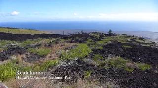 Hawaii Volcanoes National Park - Kealakomo (2018)