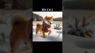 【雪あるある】#生成ai #ai #AIイラスト #aiart #犬 #dog #cute #voicevox #動物 #ペット #あるある #animals #雪 #cool #snow