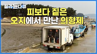 아내두고 연고없는 시골에 내려와 만난, 같은 처지의 이웃동생 | 일당도 안받고, 사고치는 형을 도와주는 동생 | 피보다 진한 우정 | 한국기행 | #골라듄다큐