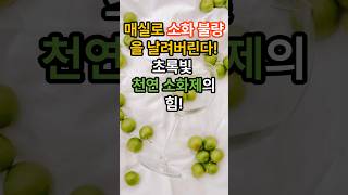 매실로 소화 불량을 날려버린다! 초록빛 천연 소화제의 힘!