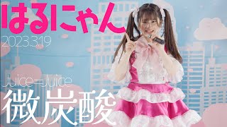 はるにゃん - 微炭酸(Juice=Juice) カバー【4K60P】 / 東京アイドル劇場（アイゲキ）