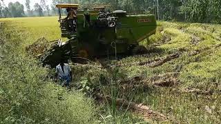 Ram 985 combine harvester 4x4 fas fas ka bachi 😀😀😀