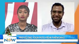 Protecting Your Pets From Fireworks