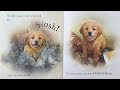 muddypaws read aloud puppy story book