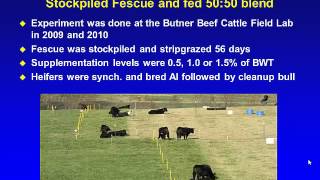 Heifer Development and Supplementation