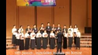 Ave Verum Corpus 聖體頌 ( 曲 : W. A. Mozart ) 香港中文大學崇基學院神學院籌款音樂會 , 香港醫學會合唱團 指揮 張明智醫生