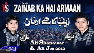 Ali Shanawar & Ali Jee | Zainab Ka Hai Armaan | 2012