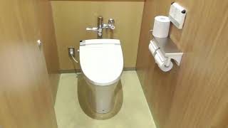 弘前大学 附属図書館1F　男性トイレ（青森・弘前市）　WC Japanese Toilet　Flush