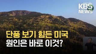 [글로벌K] “미국은 올해 단풍 보기 힘들어”…기후 변화 영향 / KBS  2021.10.10.