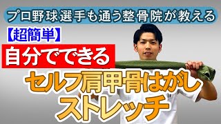 【超簡単】セルフ肩甲骨はがしストレッチ /  あさひ整骨院　広島市