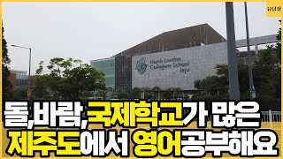 국제학교가 4곳이나 포진된 제주영어교육도시, 자연환경과 교육까지 두 마리토끼를 잡을 수 있는 제주도로 이사가고 싶네요ㅣ제주 1부