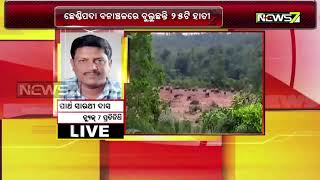 Herd Of Elephant Creates Havoc, Wreak Crops in Angul