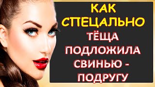 Как спецально тёща подложила свинью - подругу...Интересные истории из жизни. Аудиорассказ