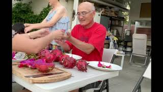 Dragon Fruit Tasting: 7 Different Varieties Comparison.