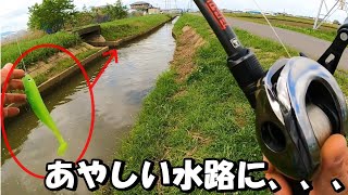 【バス釣り遠征】怪しい水路にイービルシャッドを落とすと、、、大減水の五三川でやらかしましたW 今年もまた行きたい！