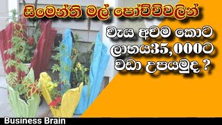 පොඩි මහන්සියකින්  මාසෙකට රු 35000/= අමතර අදායමක් හොයමුද | How to make cement flowe pot |business