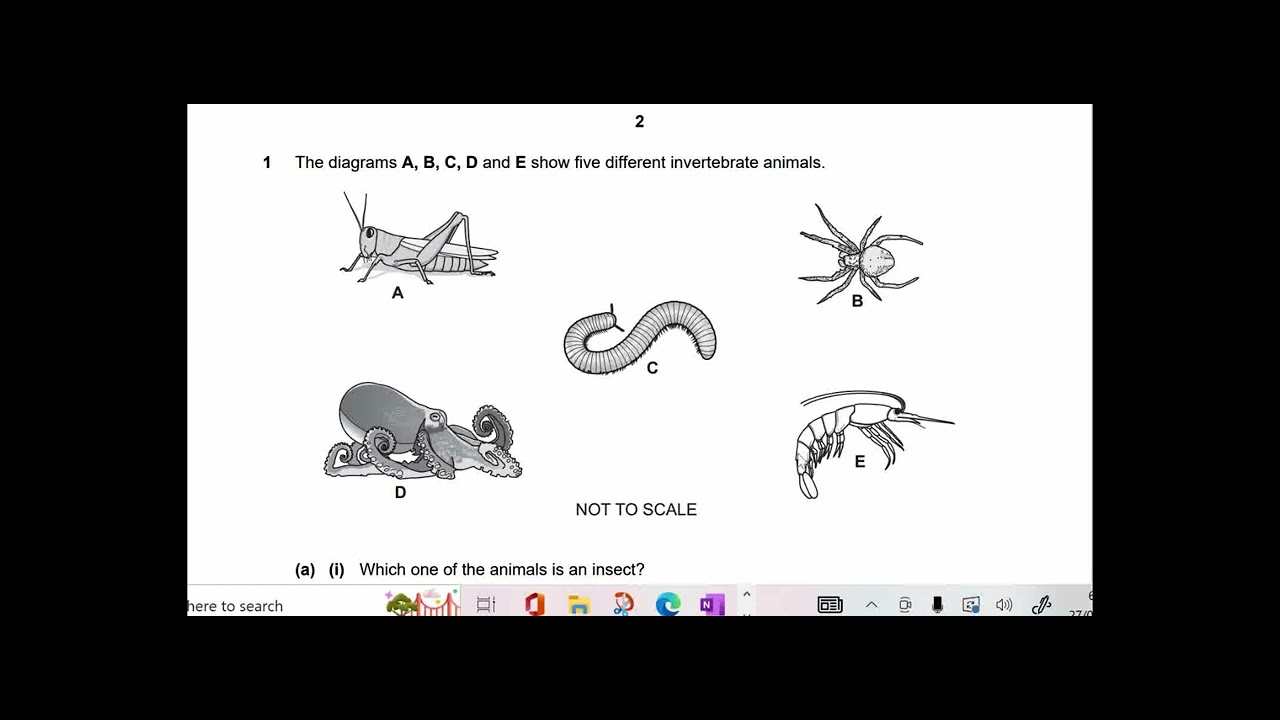 2020 Oct-0893(1113)-p2-science Checkpoint-lower Secondary-grade8/stage9 ...