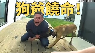 美國警犬 VS 美國壞人！ 汪汪隊立大功!   追緝逃犯，服務社區，看狗狗警官如何大顯神威！