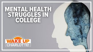 Report shows college students' mental health struggles on the rise