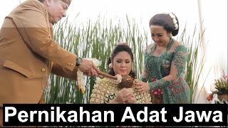 Playtubepk Ultimate Video Sharing Website
