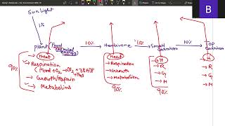 CBSE Class 10 Our Environment part 2 | Upto end