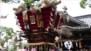 百舌鳥八幡宮秋祭り　西之町ふとん太鼓　　宮出　本殿前（２０１８年９月２３日）－４