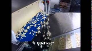 IQF freezing of Cauliflower in OctoFrost™