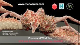 procedural mayaRedshift long