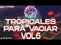 TROPICALES PARA VACIAR VOL 6🍻 - DJ EMA MIIX 2024