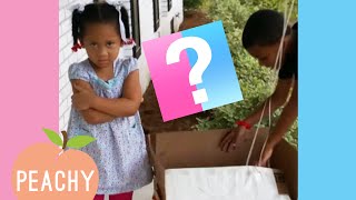 Boy Or Girl?🤔 | Funny Gender Reveal Reactions