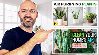 You're Being LIED To. Plants DON'T Purify The Air